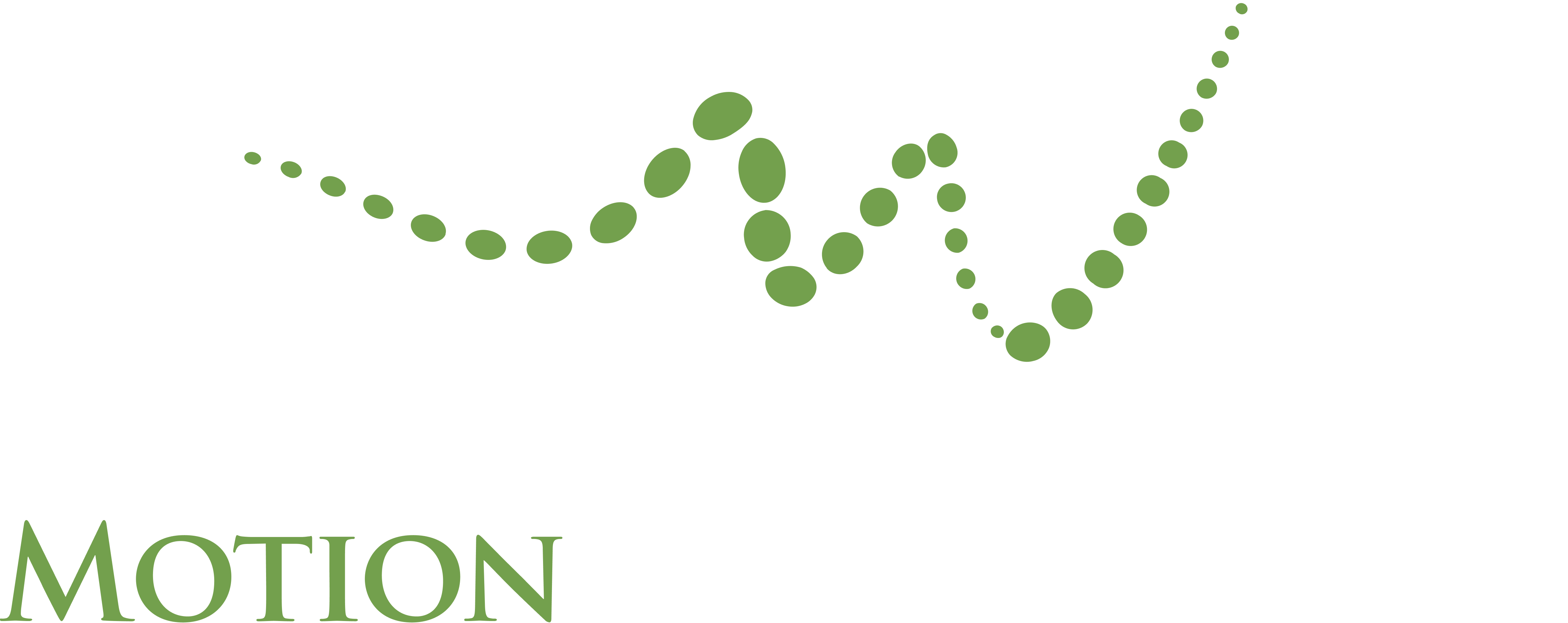 Motion Orthopaedics