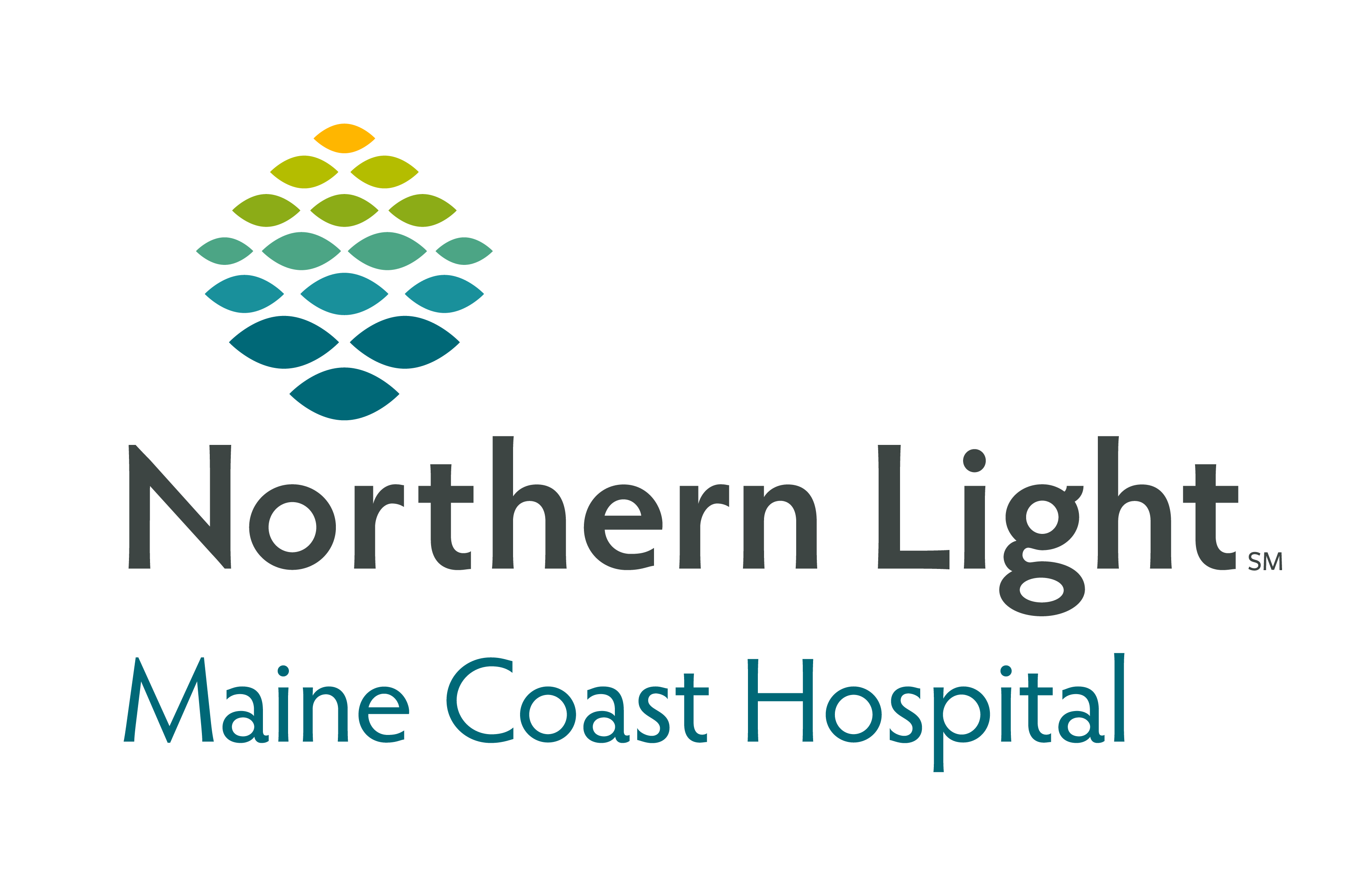 Northern Light Maine Coast Hospital